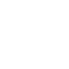 ico_safety